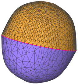 5:1, 11%, 3600 faces 5:1, 11%, 3600 faces